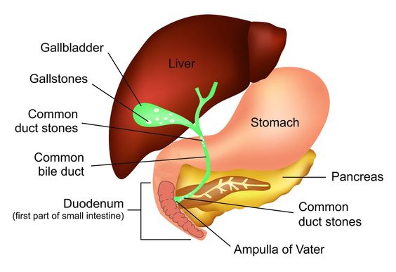 gastric doctor in Navi Mumbai